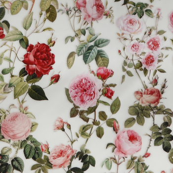 TAMARA-R Selection DREAM OF ROSES