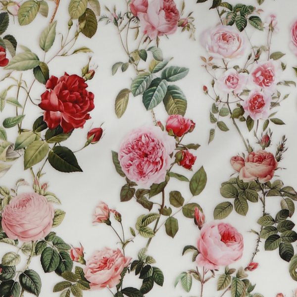 TAMARA-R Selection DREAM OF ROSES